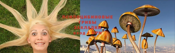 apvp Аркадак