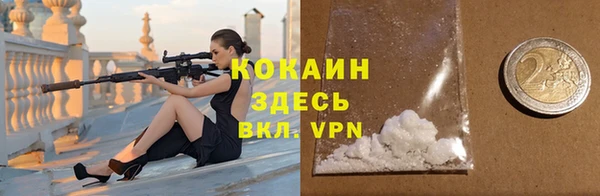 прущие грибы Арсеньев