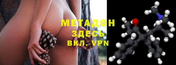 прущие грибы Арсеньев