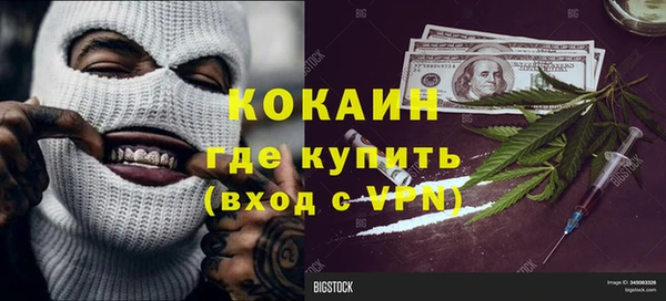 прущие грибы Арсеньев