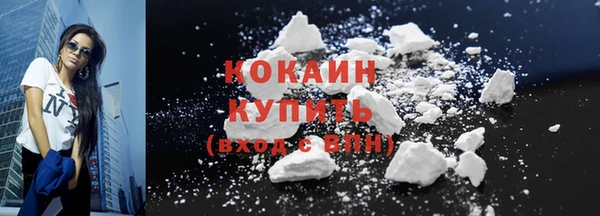 прущие грибы Арсеньев