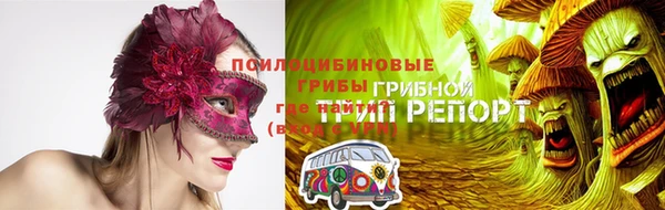 apvp Аркадак