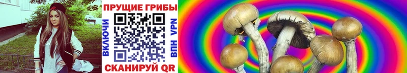 Галлюциногенные грибы Magic Shrooms  Баксан 